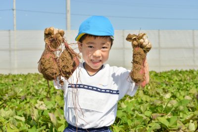 幼稚園部